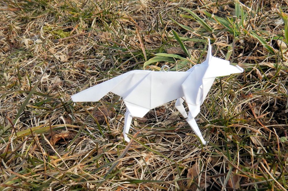 Origami Arctic Wolf